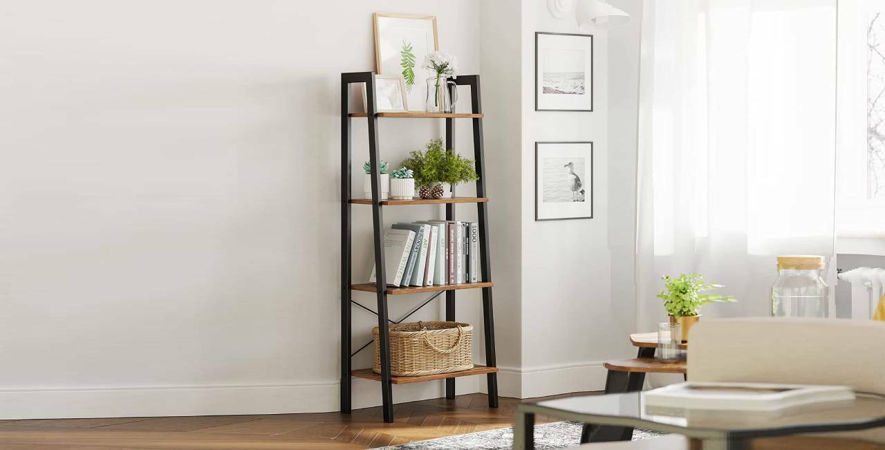 Ladder BookShelf